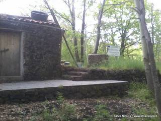 gala del Picchio-23-05-2014 22-58-55